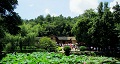 長(zhǎng)沙出發(fā)到花明樓、韶山、張家界國(guó)家森林公園、天門仙山國(guó)家森林公園四日游