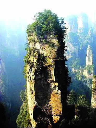 張家界國(guó)家地質(zhì)森林公園、黃石寨、金鞭溪休閑一日游