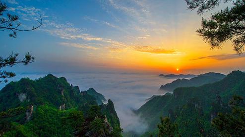 張家界森林公園（金鞭溪、袁家界、楊家界、天子山、十里畫廊）住山上2天1游（可看日出）